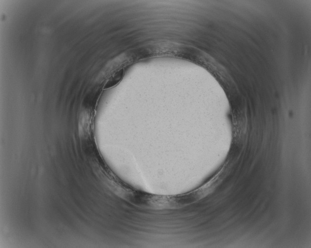 X0000086110142200704091428