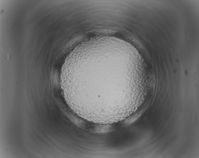 X0000086110143200704091428