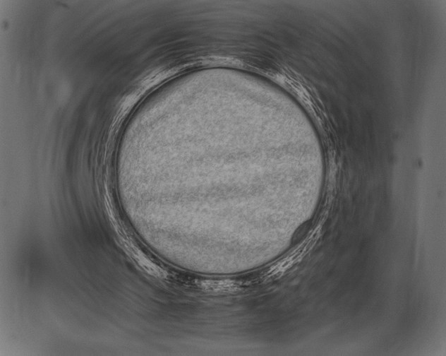 X0000086110145200704091427