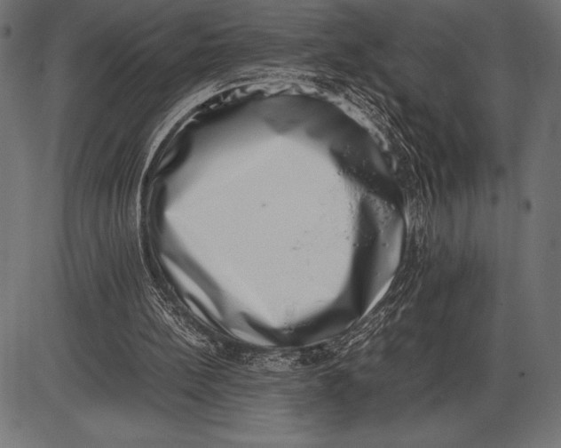 X0000086110148200704091427