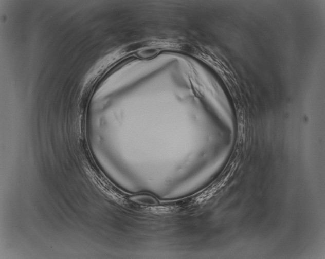 X0000086110149200704091427