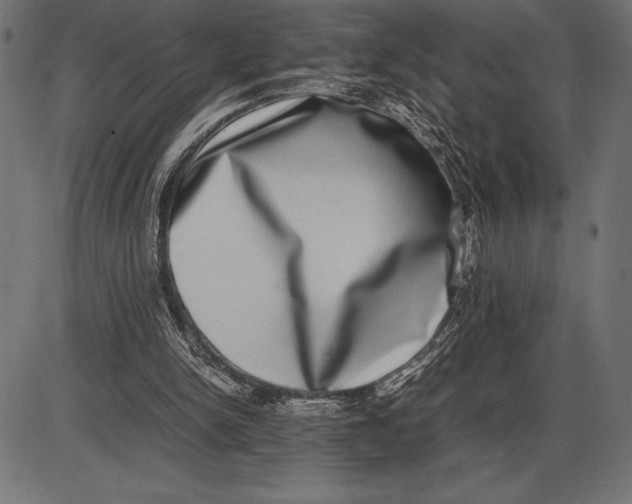 X0000086110150200704091427