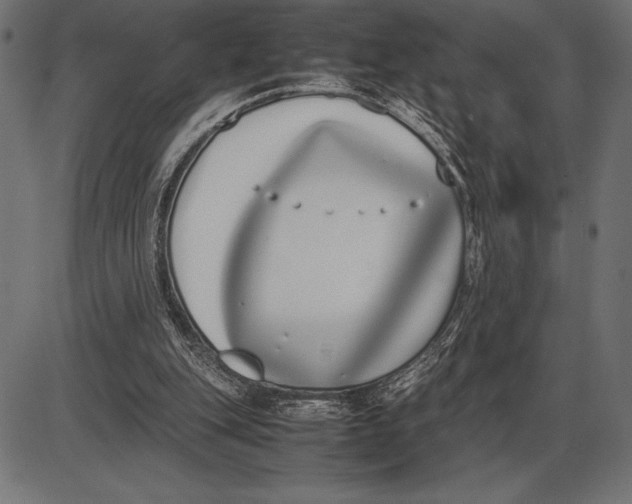 X0000086110151200704091427