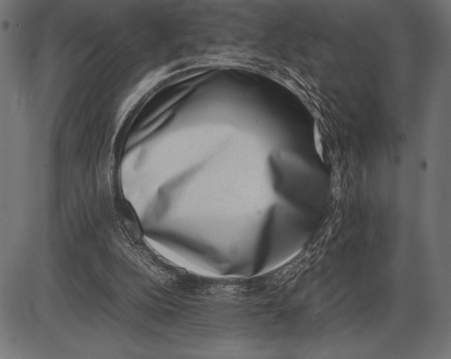 X0000086110152200704091427