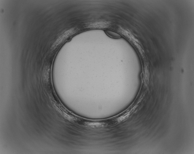 X0000086110153200704091427