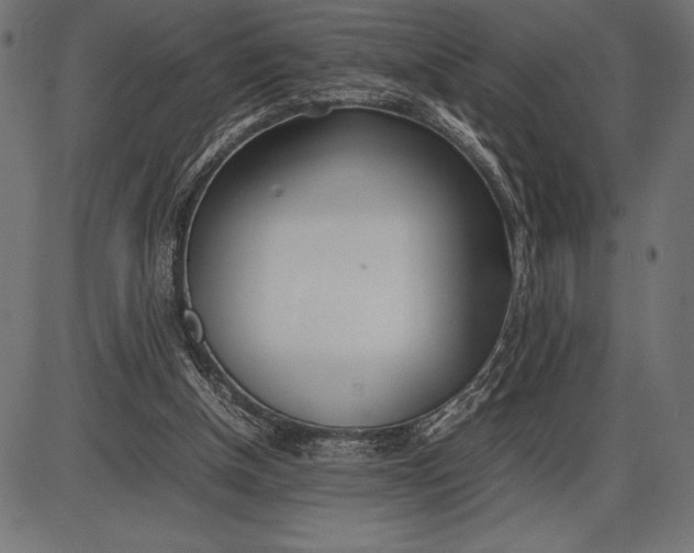 X0000086110154200704091427