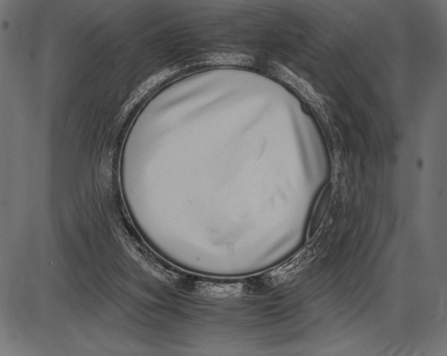 X0000086110155200704091427