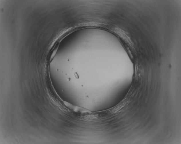 X0000086110156200704091427