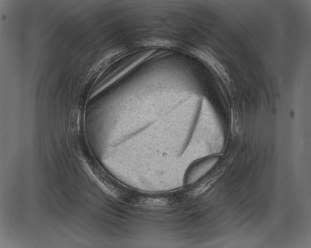 X0000086110157200704091427