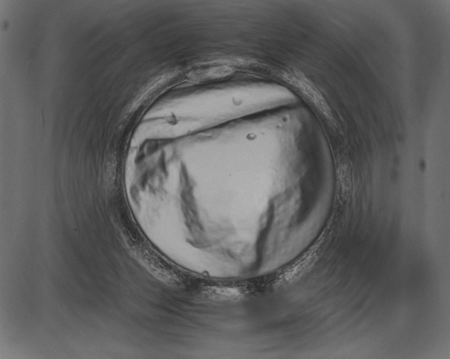 X0000086110159200704091427