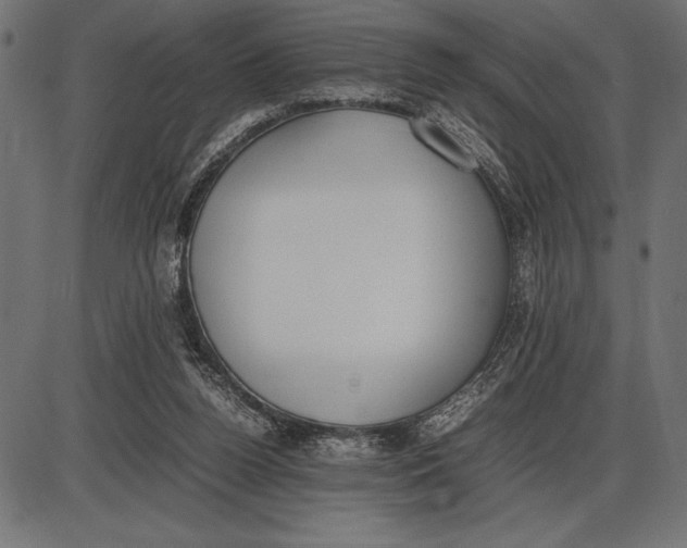 X0000086110160200704091427