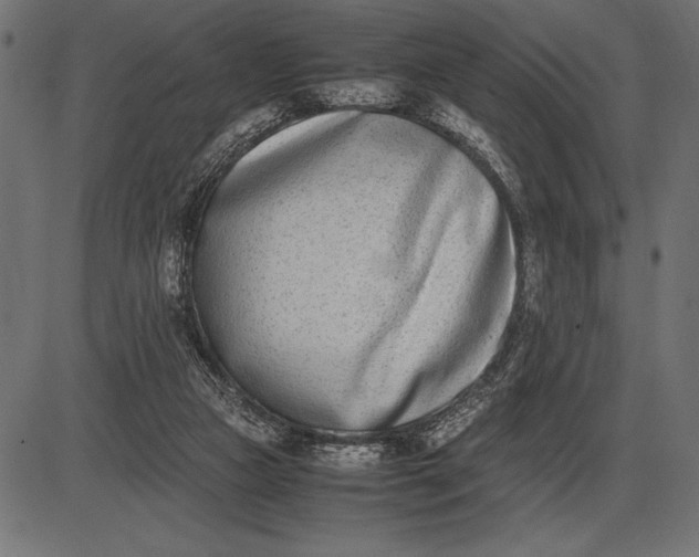 X0000086110161200704091427