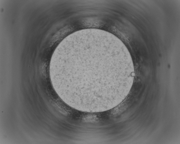 X0000086110162200704091427