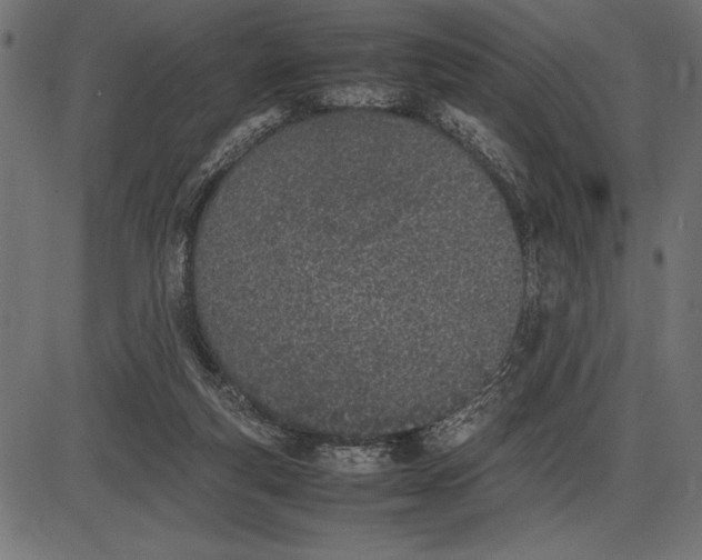 X0000086110163200704091427