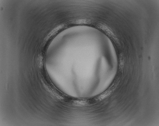 X0000086110164200704091427