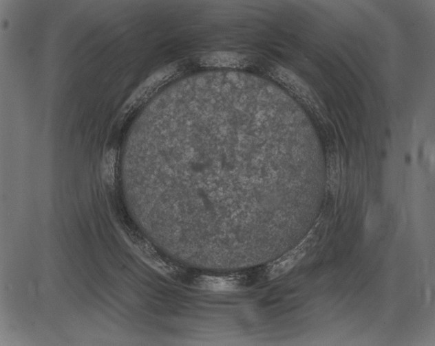 X0000086110167200704091427