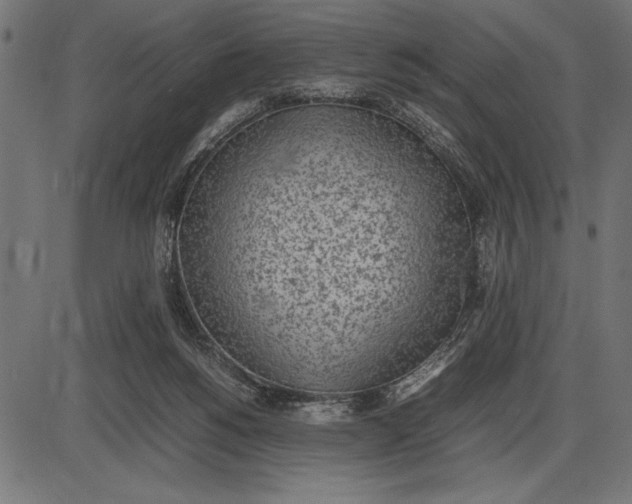 X0000086110168200704091427