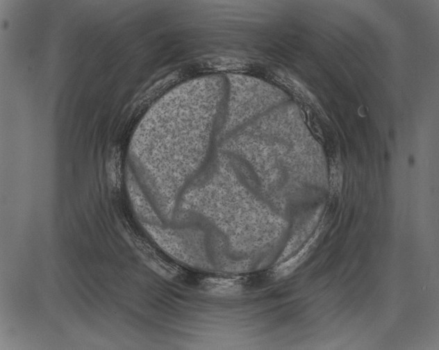 X0000086110170200704091427