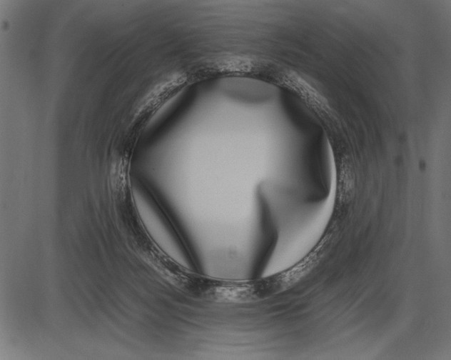 X0000086110172200704091427