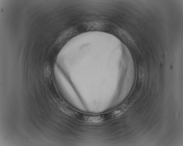 X0000086110173200704091428