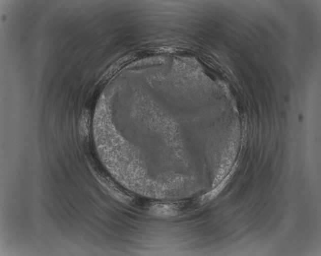 X0000086110174200704091428