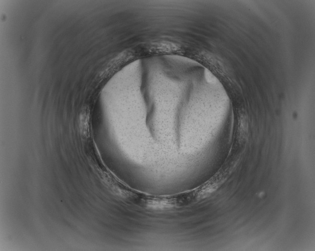 X0000086110177200704091428