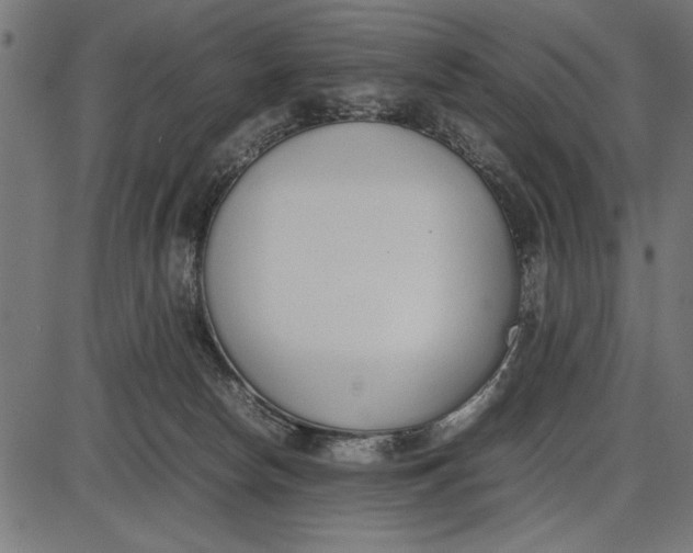 X0000086110178200704091428