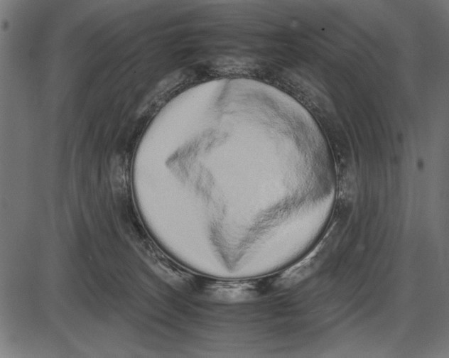 X0000086110179200704091428