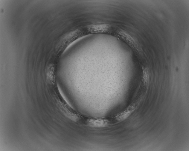 X0000086110181200704091428