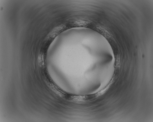 X0000086110182200704091428