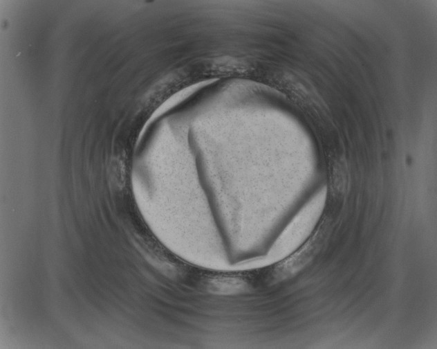 X0000086110183200704091428