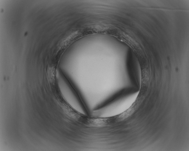 X0000086110184200704091428