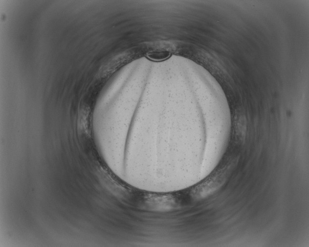 X0000086110185200704091428