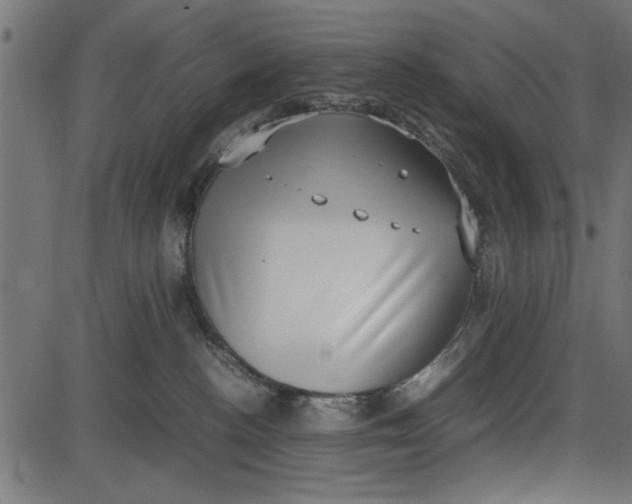 X0000086110188200704091428