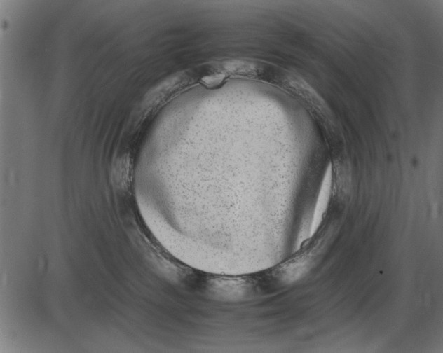 X0000086110189200704091428