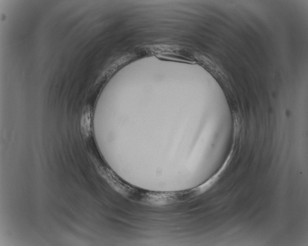 X0000086110190200704091428