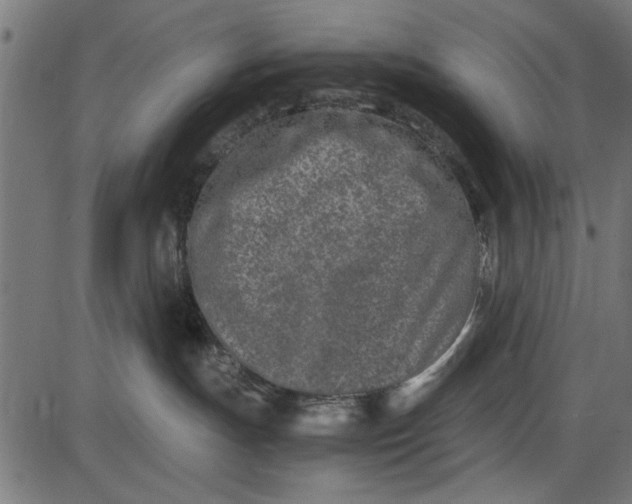 X0000086110191200704091428