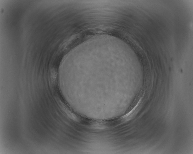 X0000086110192200704091428