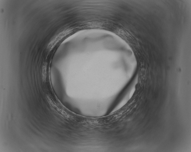 X0000086110194200704091427