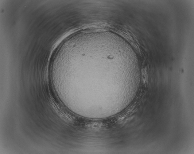 X0000086110196200704091427