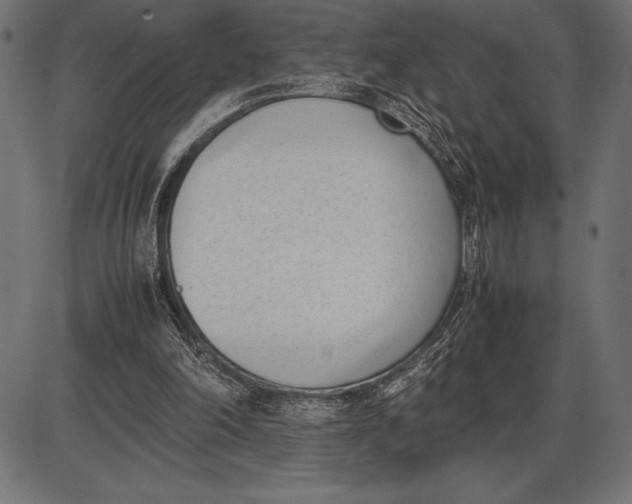 X0000086110198200704091427