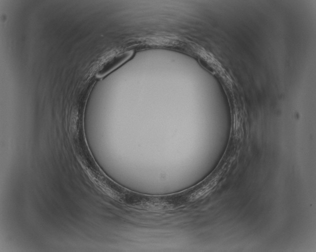 X0000086110201200704091427