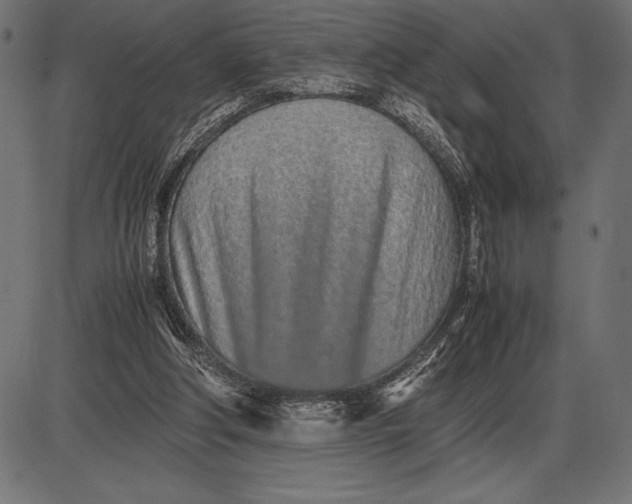 X0000086110202200704091427