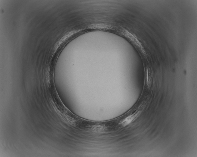 X0000086110204200704091427