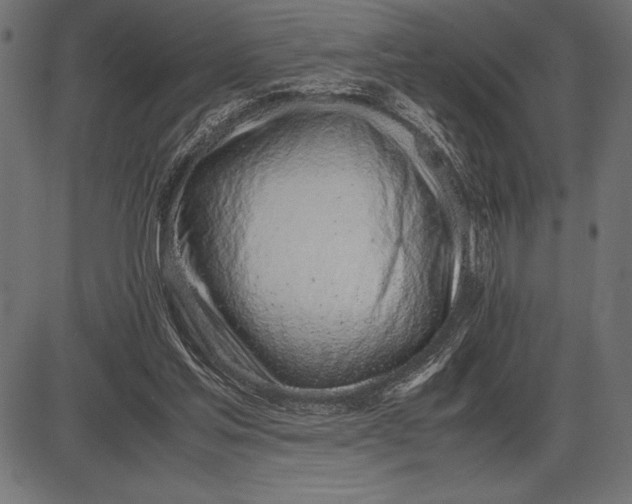 X0000086110205200704091427