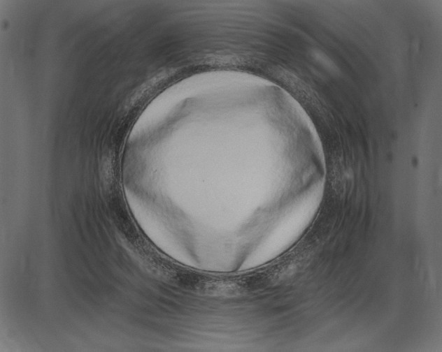 X0000086110208200704091427