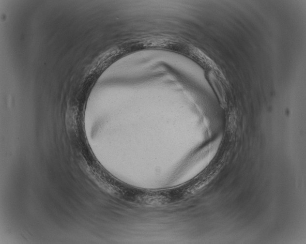 X0000086110209200704091427