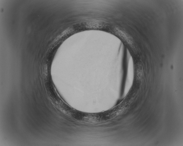 X0000086110211200704091427