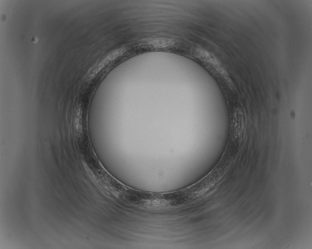 X0000086110212200704091427