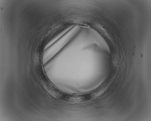 X0000086110213200704091427